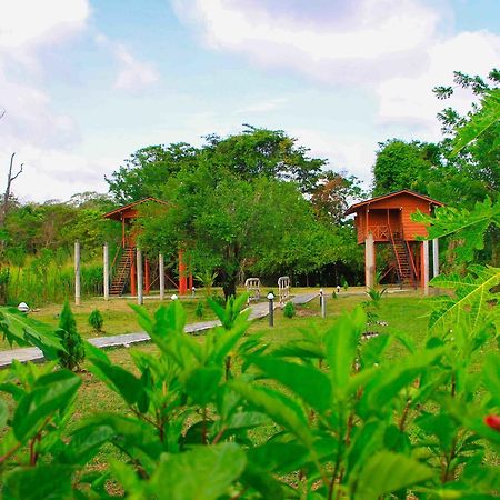 Hotel Sigiri Royal Point Tree House Sigiriya Exterior foto