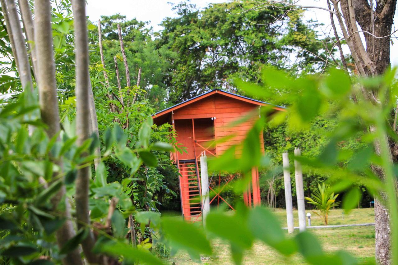 Hotel Sigiri Royal Point Tree House Sigiriya Exterior foto