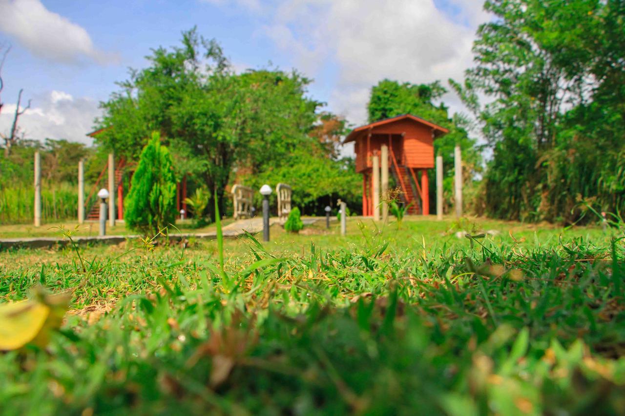 Hotel Sigiri Royal Point Tree House Sigiriya Exterior foto
