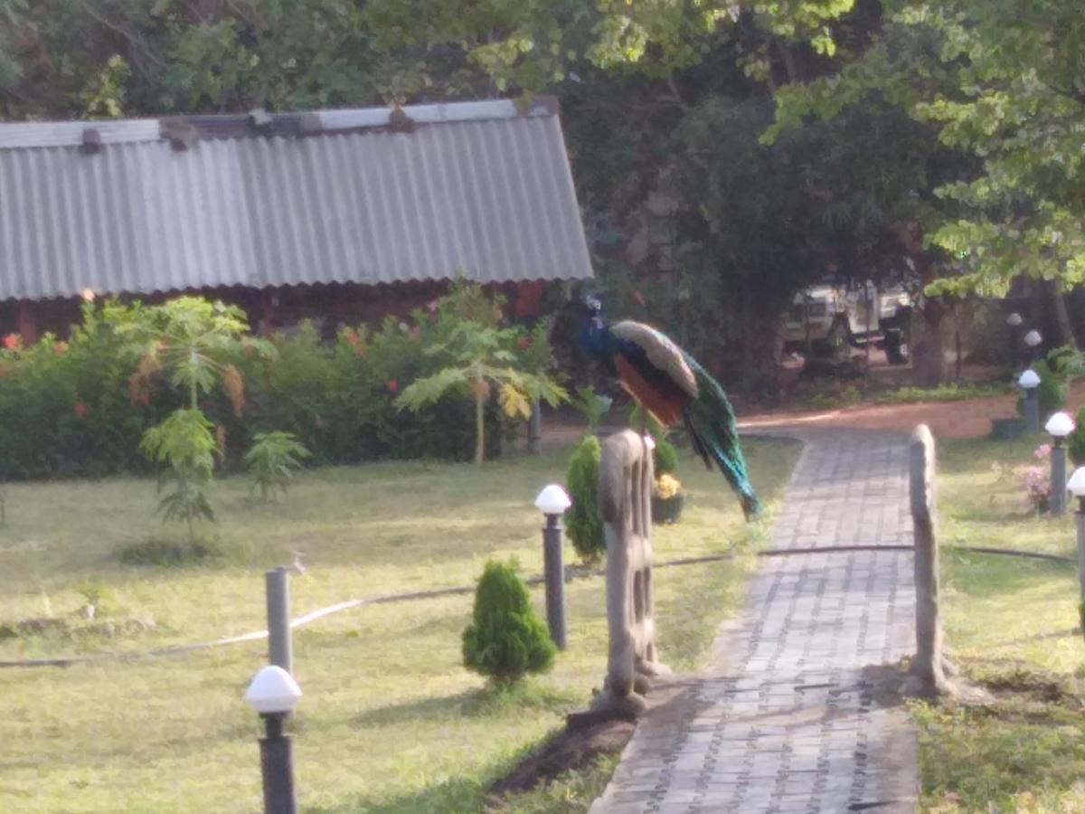 Hotel Sigiri Royal Point Tree House Sigiriya Exterior foto