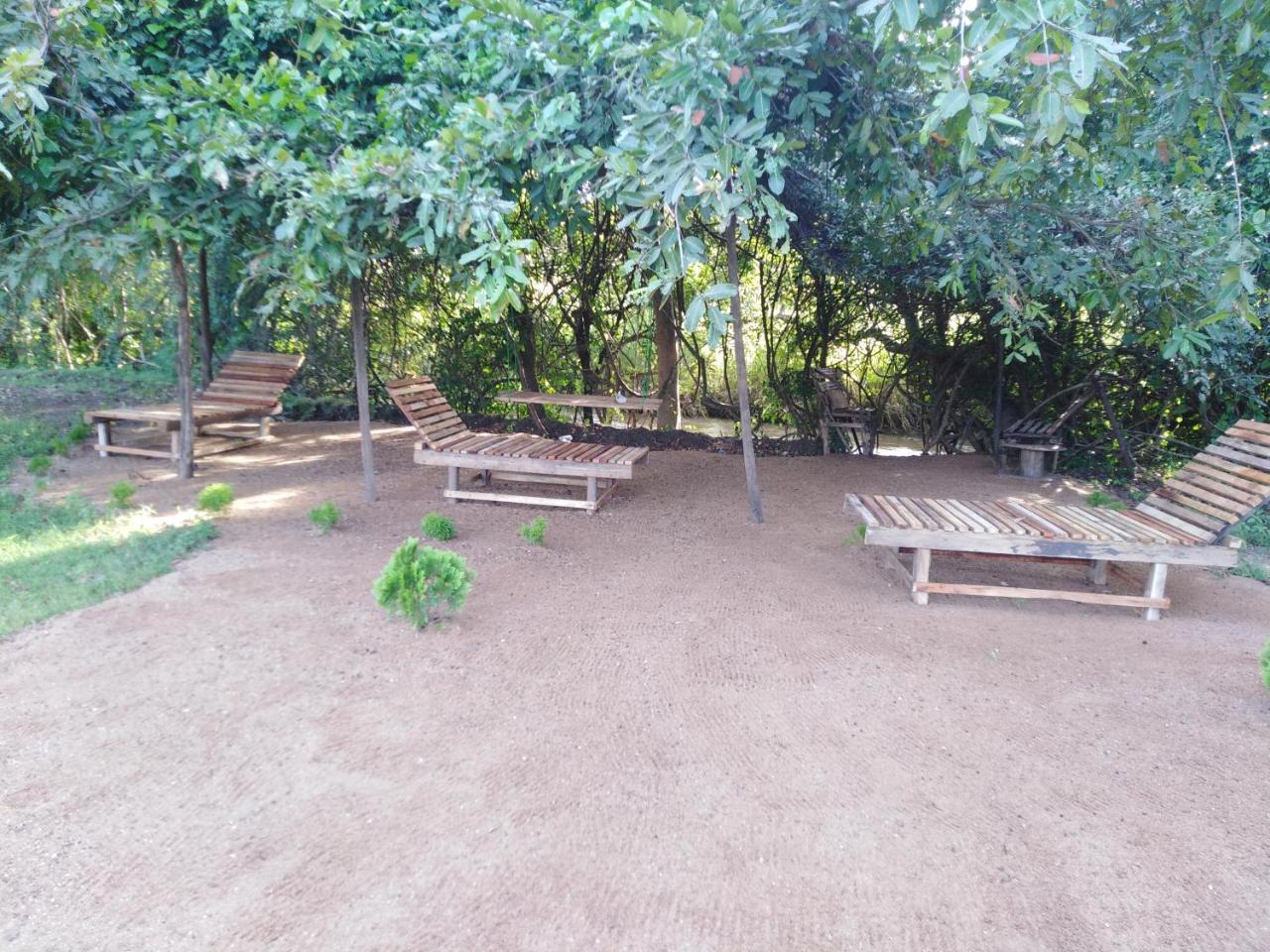 Hotel Sigiri Royal Point Tree House Sigiriya Exterior foto
