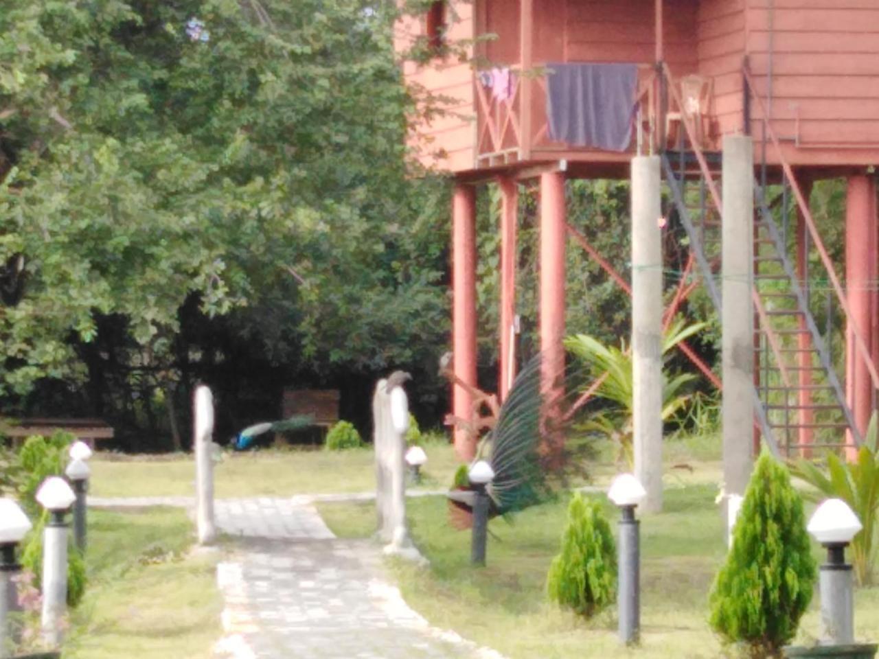 Hotel Sigiri Royal Point Tree House Sigiriya Exterior foto